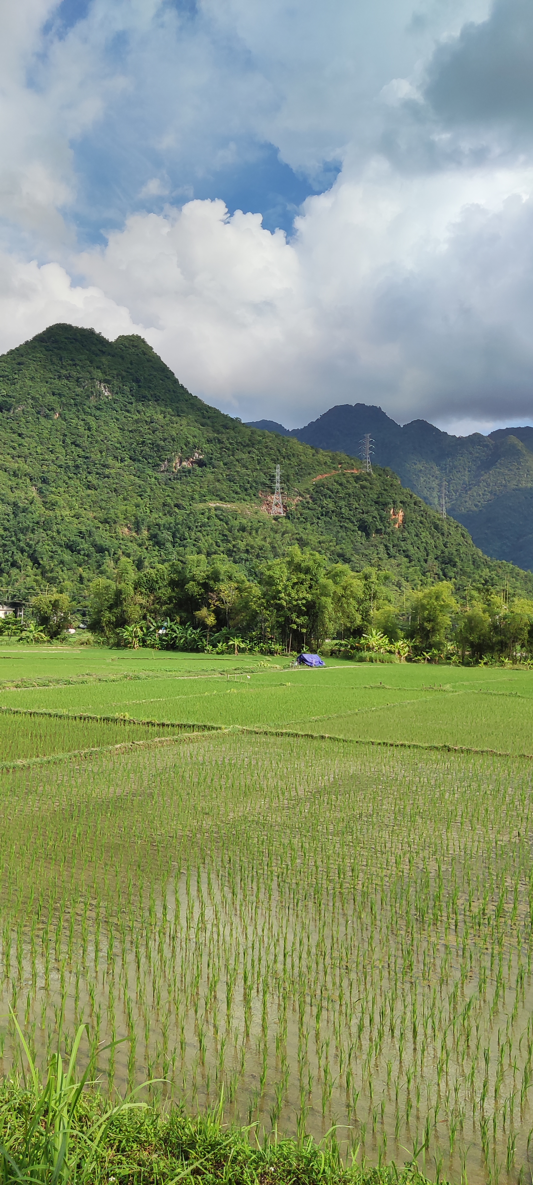 Bản Lác Mai Châu: đi giữa thung lũng xanh và trải nghiệm văn hóa người Thái