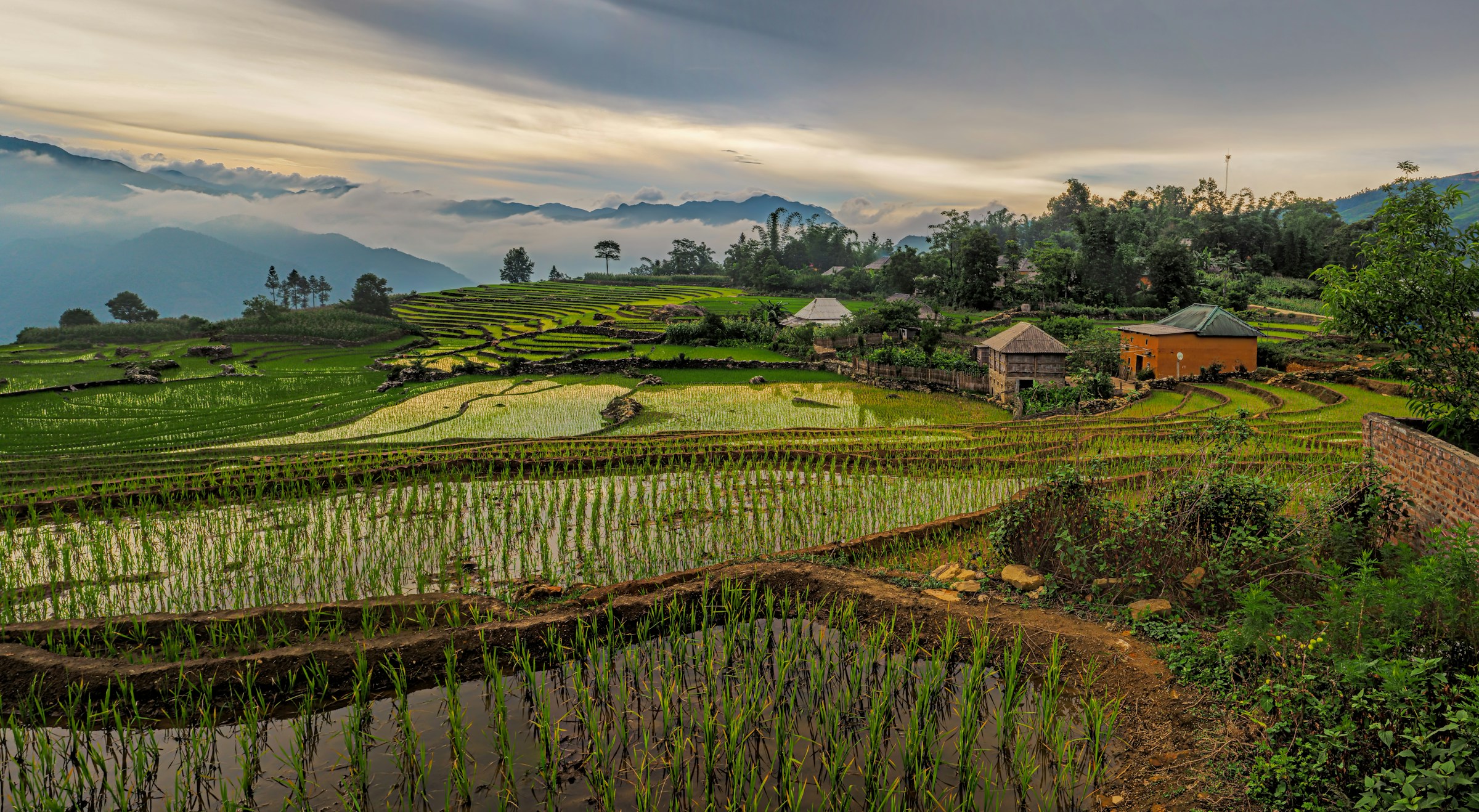 Y Tý: đi giữa ruộng bậc thang, mây núi và những cung đường cần thận trọng