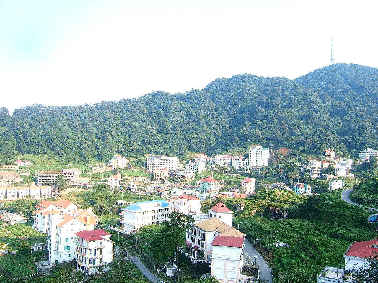 Tam Đảo Vĩnh Phúc: đi giữa phố núi, sương mù và những con dốc